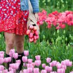 foto del Tulipark a Caltagirone