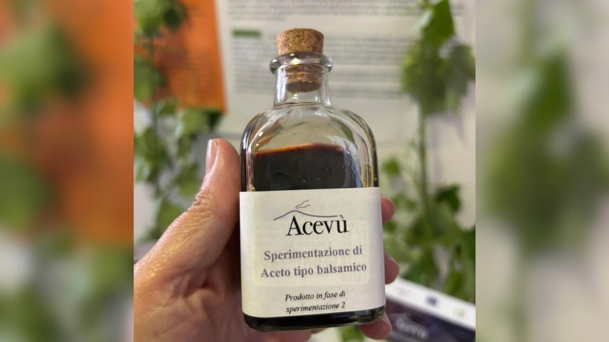 Aceto biologico vulcanico dell'Etna