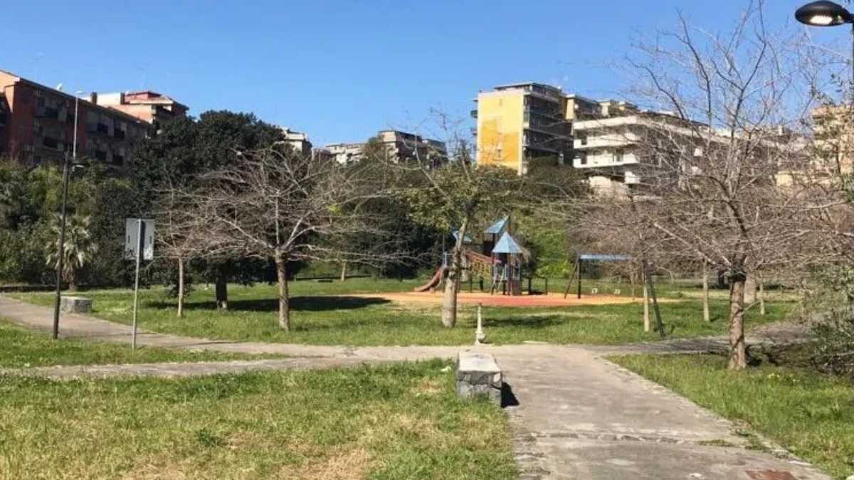 nuovi alberi al Parco Gemellaro