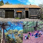 TREKKING E YOGA SULL'ETNA