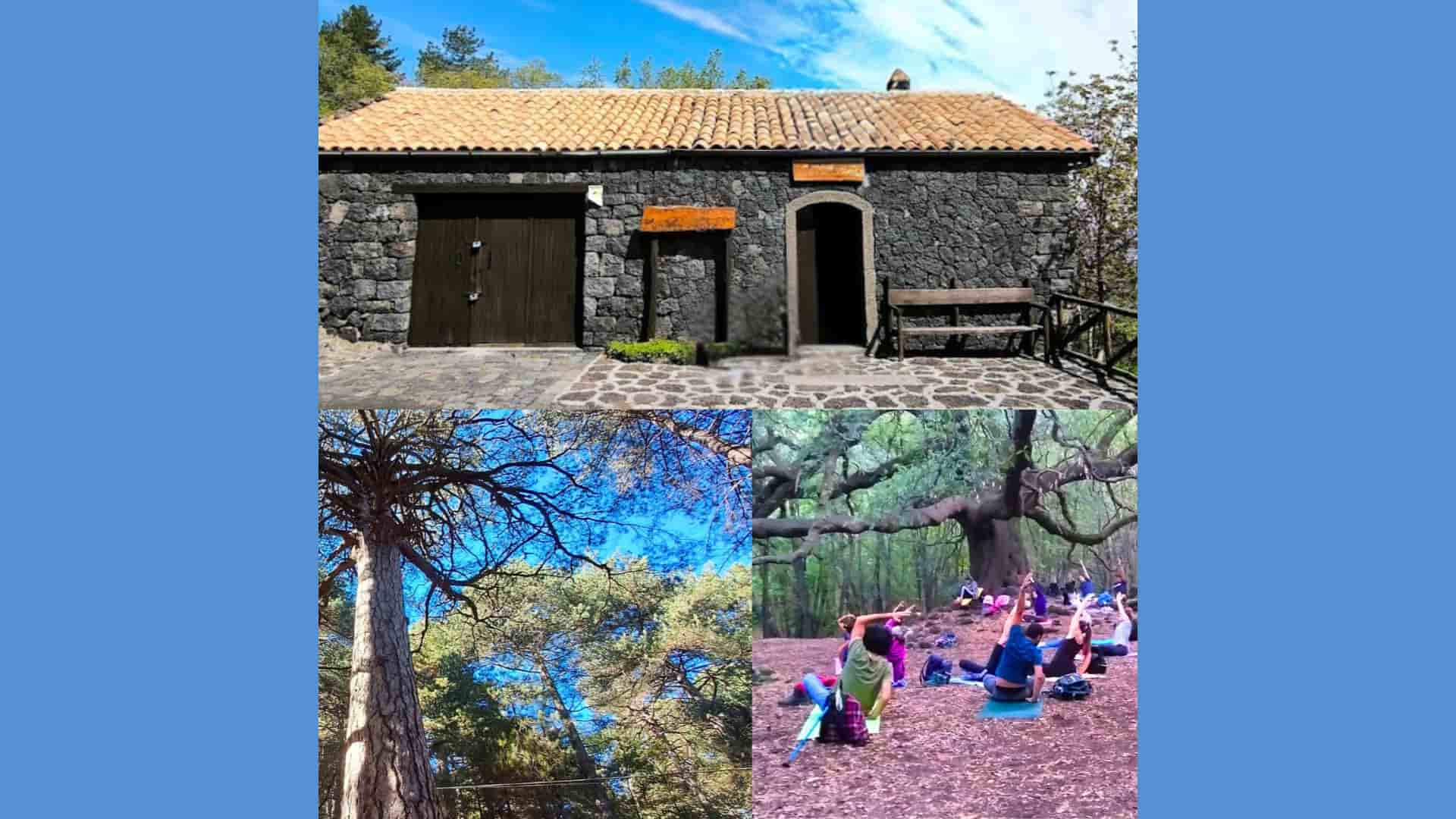 TREKKING E YOGA SULL'ETNA